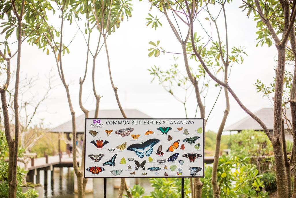 Anantaya Resort & Spa Chilaw Exteriör bild